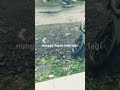 https://youtube.com/shorts/ZRMoSzqq8AU?si=-1udQ0I5PDd0KPQR