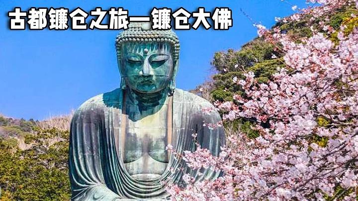 A trip to the ancient capital of Kamakura ~ Kamakura Buddha under the cherry blossoms  walk through - 天天要聞