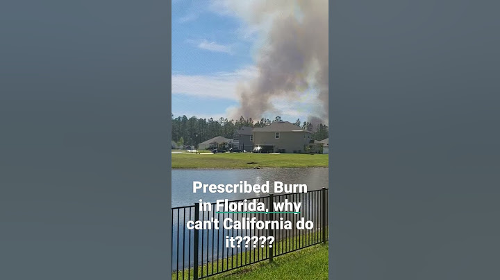 Prescribed Burn in Florida