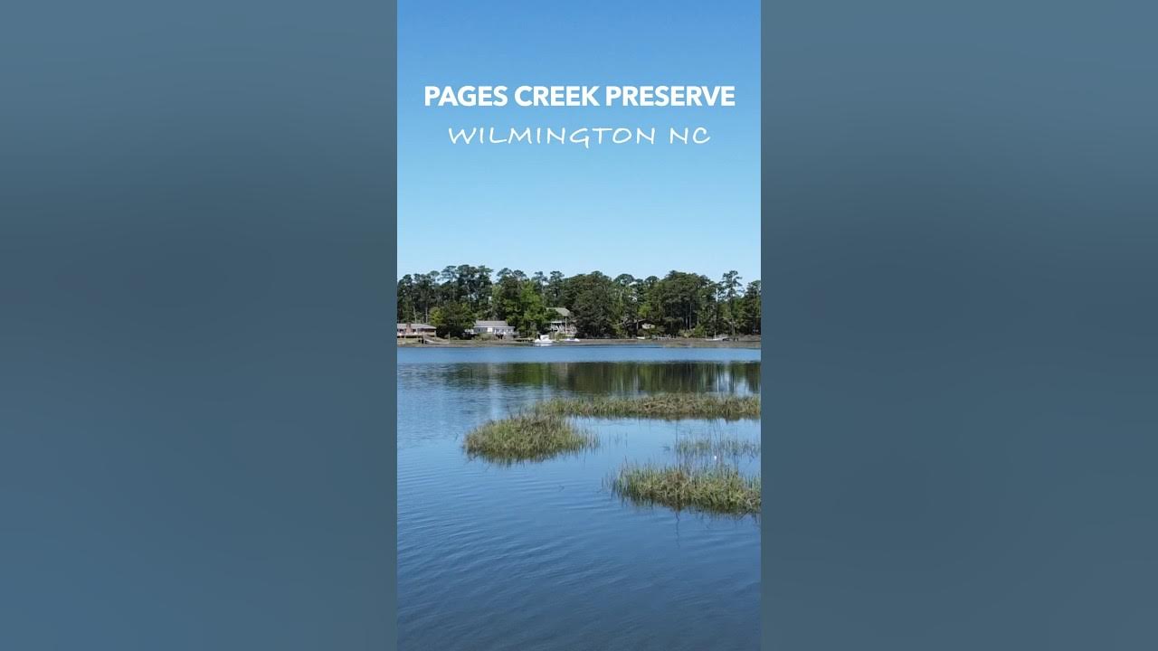 Pages Creek Preserve hiking trail in Wilmington NC YouTube