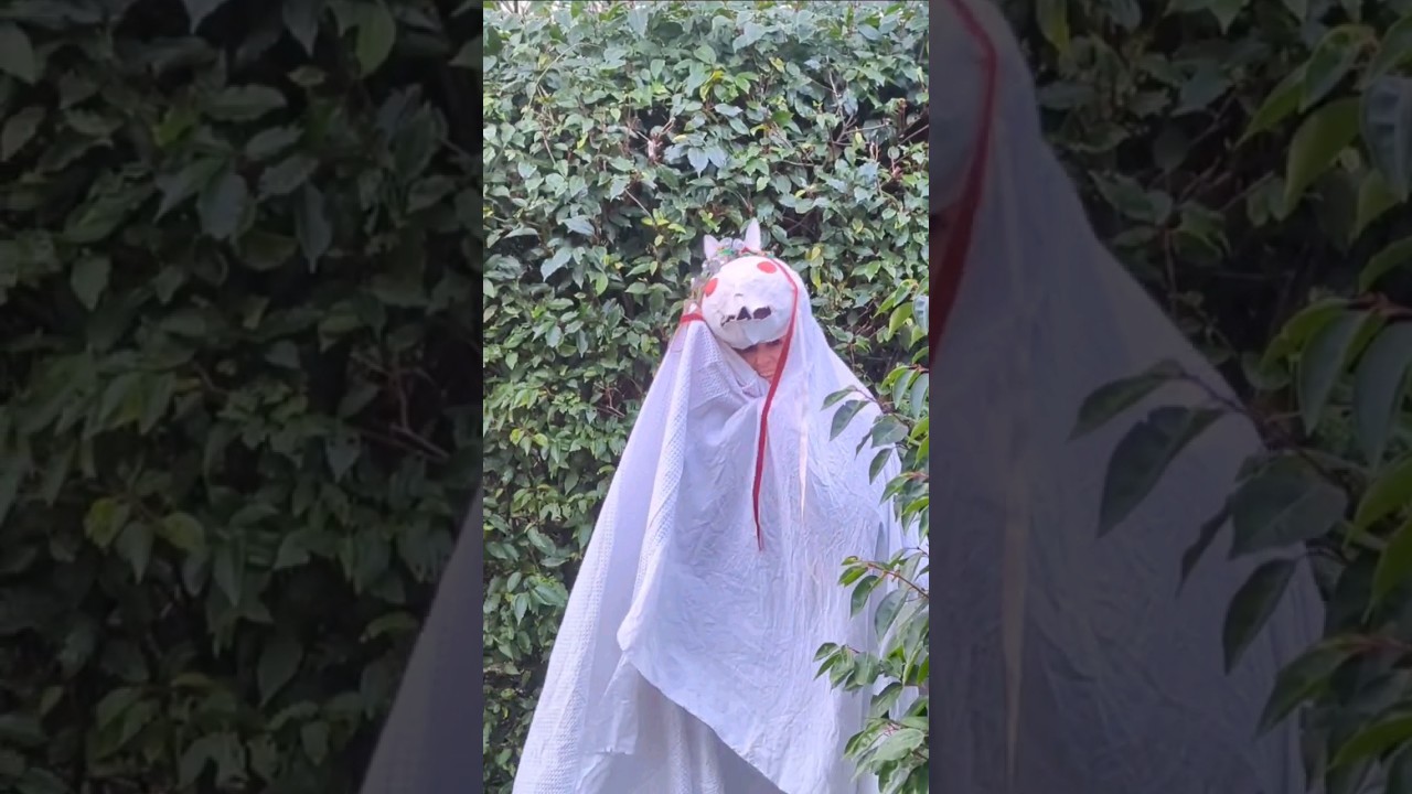 Peter, the Mari Lwyd is here!