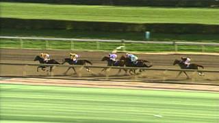 1996 Breeders Cup Distaff