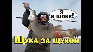 видео Щука весной