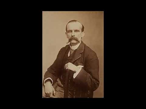 縱橫天下 8 陀槍特首