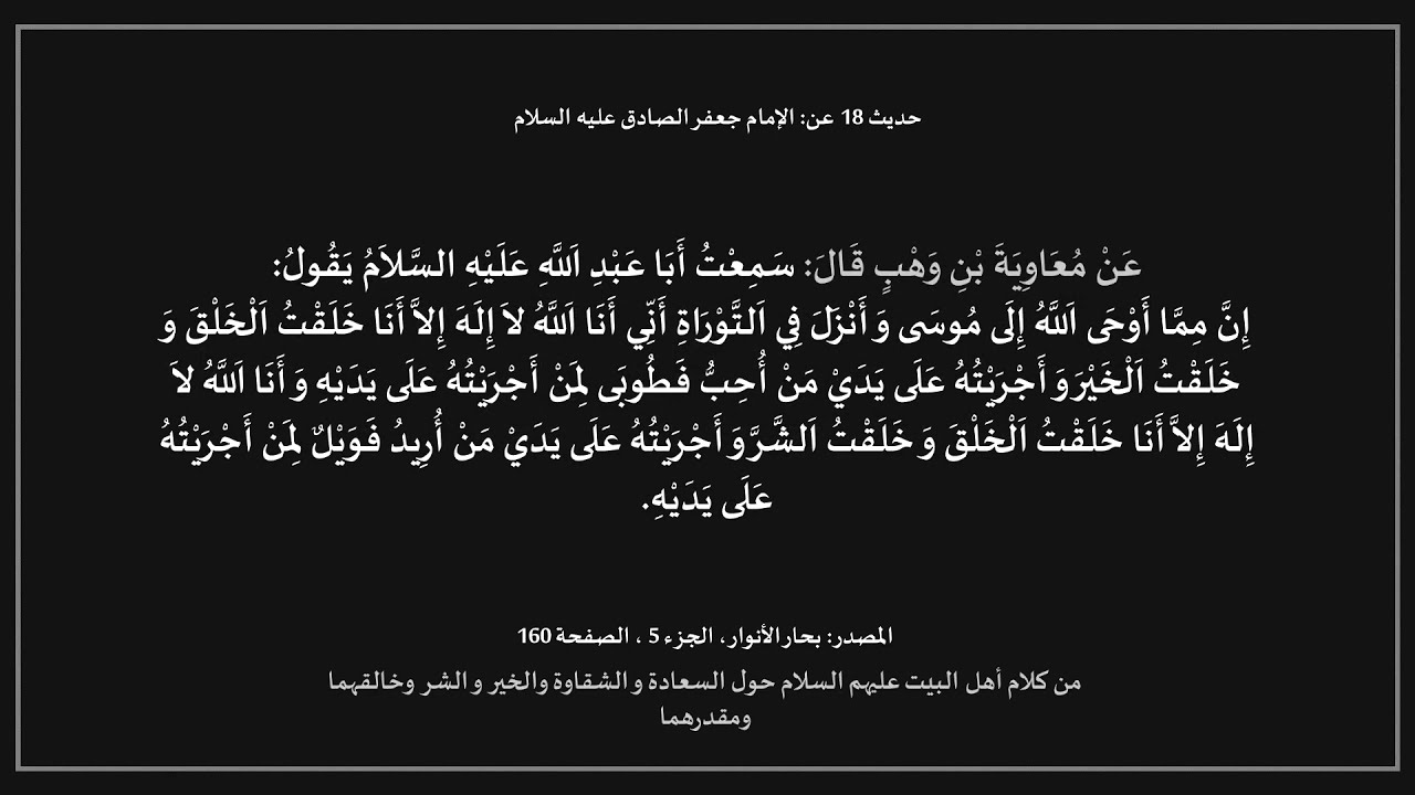 أقوال أهل البيت - العدل - باب في السعادة والشقاوة والخير والشر وخالقهما ومقدرهما