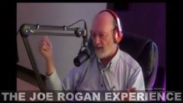 Dennis McKenna on "The Cynical Point-of-View of Psychedelics" - Joe Rogan Experience #298
