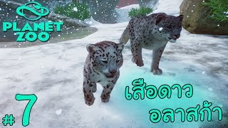 เสือดาวหิมะ อลาสก้า - Planet Zoo #7