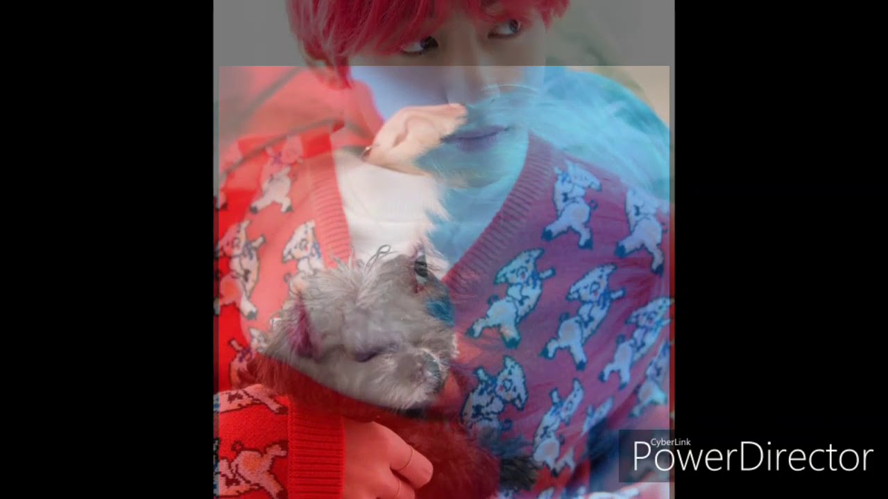 { Реакция BTS } Когда вас заперли, в помишение/месте. {Враги}