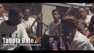 Download Lagu TABOLA BALE  - BURA BEKOR MUSIK KAMPUNG (Live) | Flores, Nusa Tenggara Timur 2025 MP3 Download Lagu TABOLA BALE  - BURA BEKOR MUSIK KAMPUNG (Live) | Flores, Nusa Tenggara Timur 2025 MP3