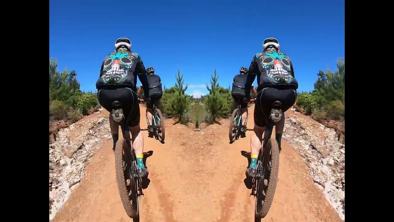 W2W 2023 Durban Poison  -  Music Golden Blue