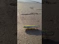 Review Paseante Wondershot Seabass Killer
