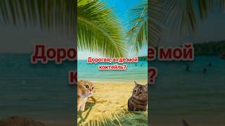 Дорогая, а где мой коктейль? #шортс #юмор #топ #приколы #развлечение #котики #мемы #лето #смех #пляж