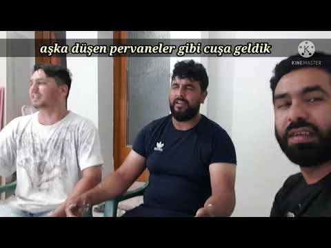 ey gönül uslanmaz mısın