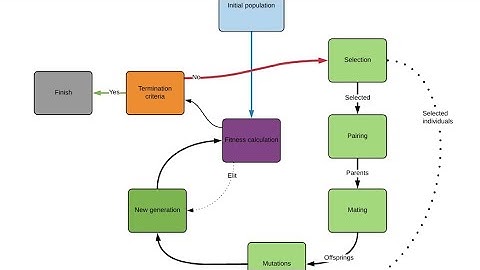 Mutation Operations In Genetic Algorithm In Hindi