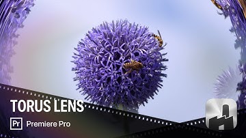 FxFactory Pro 6 Torus Lens in Premiere Pro
