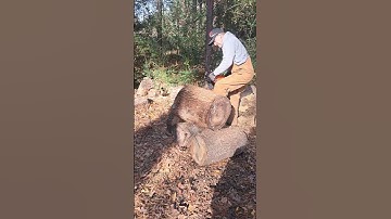 Echo Cs7310  first cut out of box.