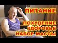 Программа питания: похудение, набор массы, здоровье