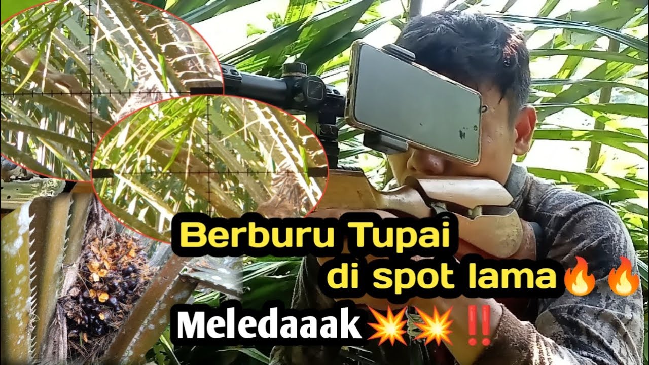 Berburu tupai di spot lama🔥🔥