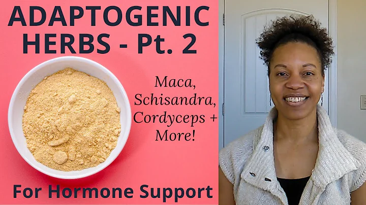 5 Adaptogens for Stress Relief & Hormones: Schisandra, Ashwagandha, Rhodiola, Maca, Cordyceps,