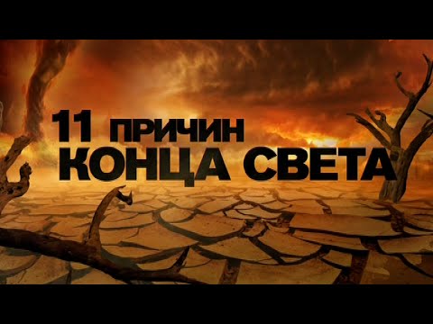 Видео: Тепловой удар! Летние дни могут стать смертельно опасными для перегретых собак