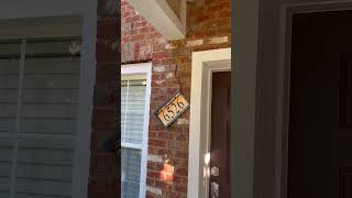 Snake Found Behind Address Sign Sneaks into House