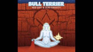 Bull Terrier - The Nightfighter