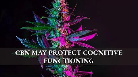 SHORT #19 Dr. Pam Maher - CBN May Protect Cognitiv...