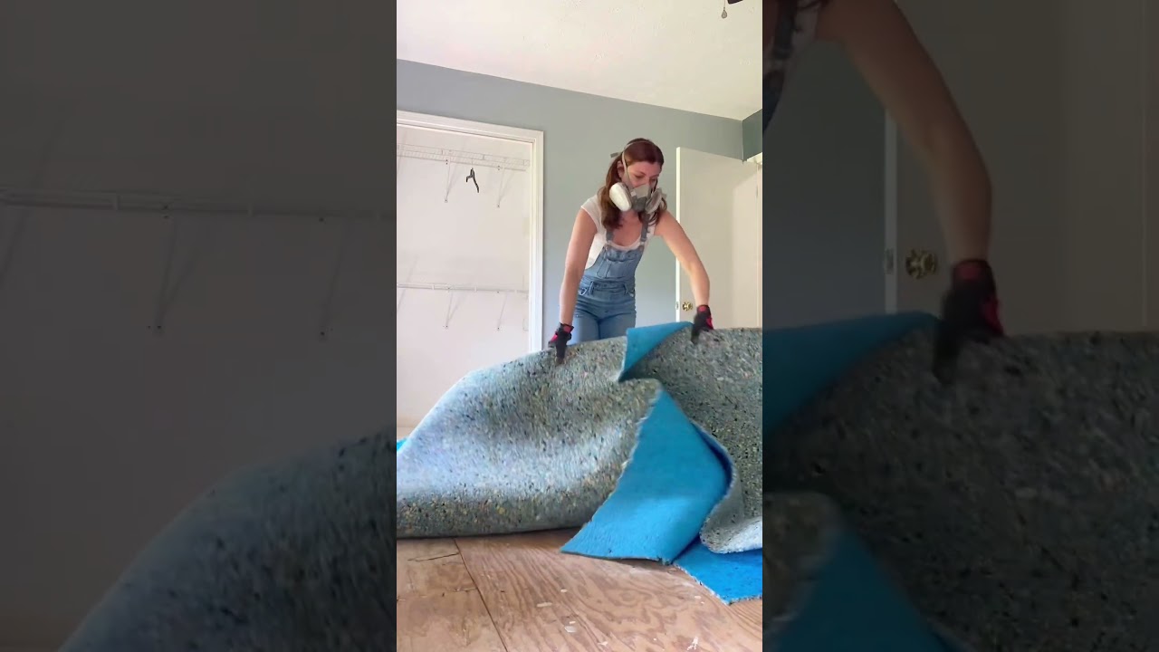 Dream In Progress: My sister bought the house next door to me (EPISODE 1)