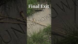 Final Exit Advertisement