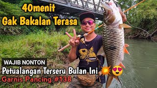 Umpan Kecil Ikan Besar || Semua Sangat Mungkin Saat Memancing || Garnis Pancing 138