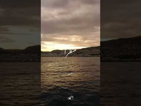 يارب عبدك محتاج إليك النقشبندي
