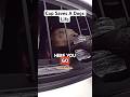 Cop Saves Overheating Dog!!!🔥🔥🔥#bodycamera #police #cops #policeofficer #lawenforcement #dog