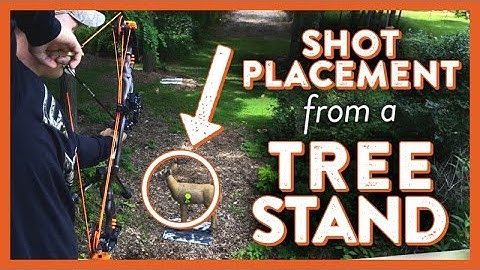 Shot Placement from a Treestand