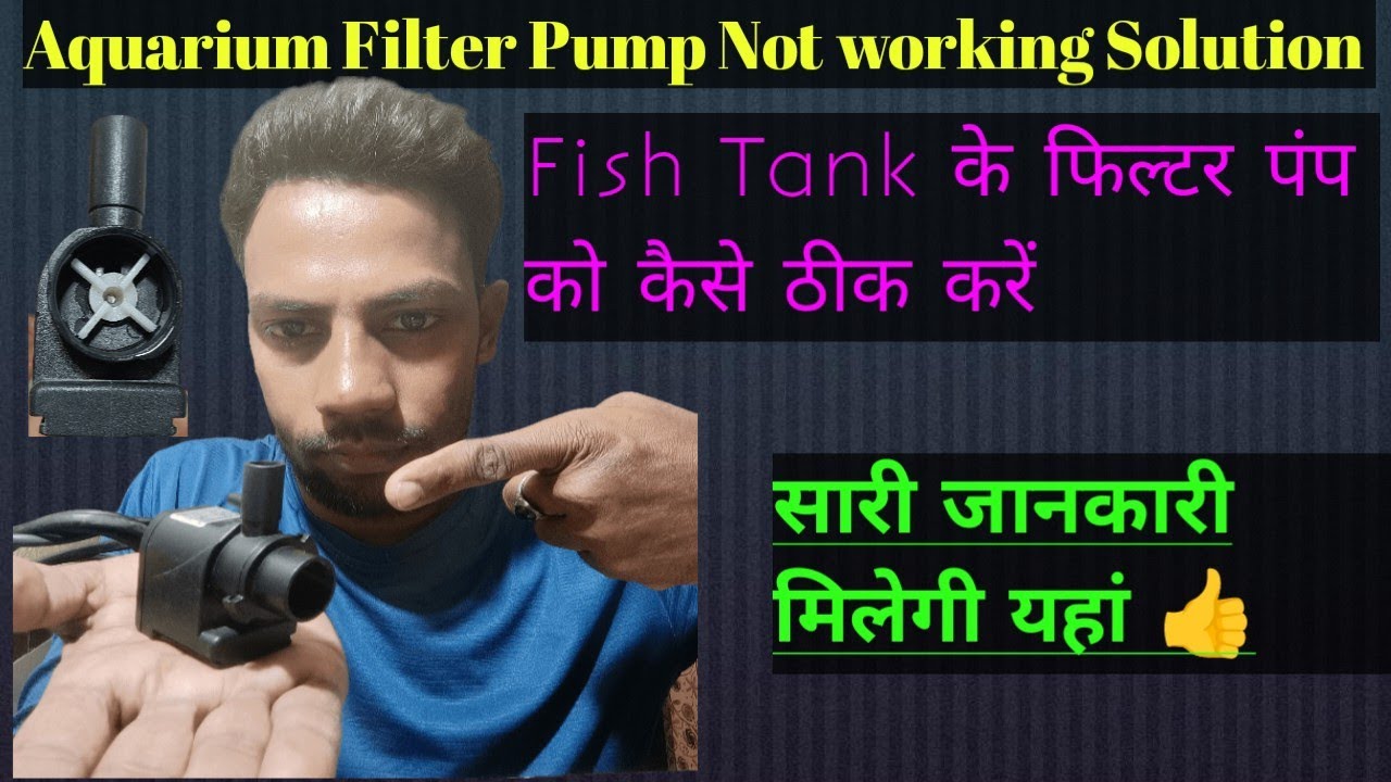 Aquarium Filter Pump Not Working फिश टैंक का पंप नहीं चल रहा है कैसे