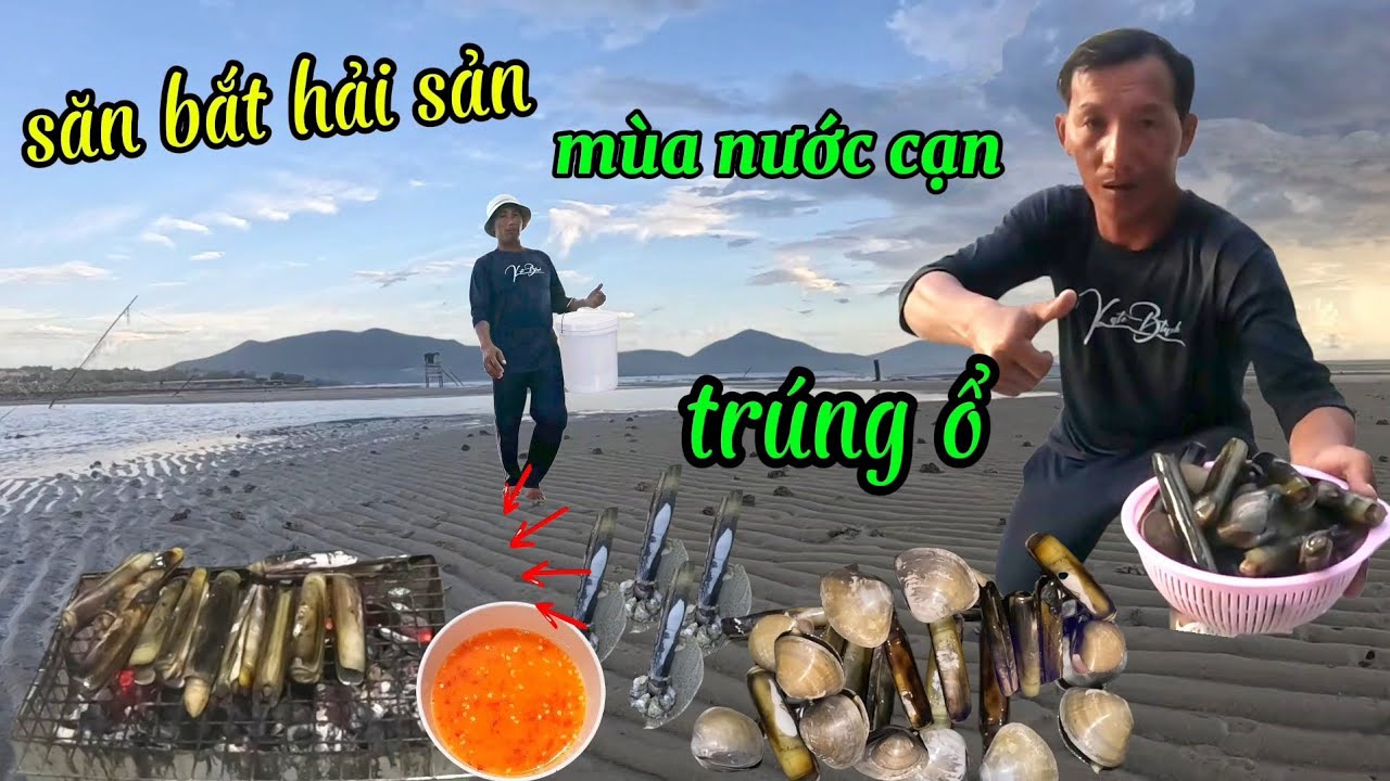 Qua cồn bắt hải sản mùa nước cạn gặp trúng ổ óc móng tay siêu to nằm la liệt | thuận sanh tv