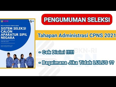 Video: Pengumuman Pok Mon Memberi Berat Kepada NX Sebelumnya, Zelda Melaporkan