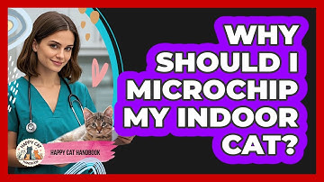 Why Should I Microchip My Indoor Cat? - Happy Cat Handbook