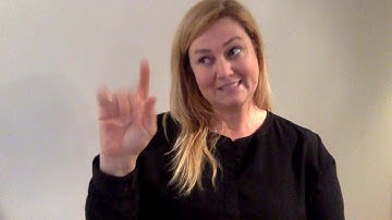 2017 Progress Update: Inclusive Government (ASL)