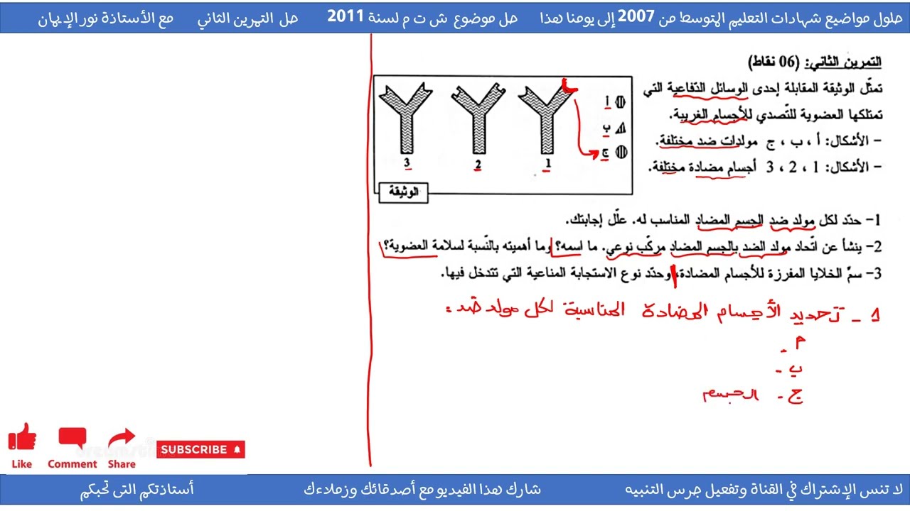 حل تمرين حول الأجسام المضادة علوم طبيعية سنة 04 متوسط