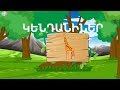 ԿԵՆԴԱՆԻՆԵՐ | BoPo kids TV