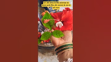 कांताचक्र का स्मरण करके शिव और नारायण के नाम से करे उपाय कभी पूजी धन  की कमी नही #shorts #youtube