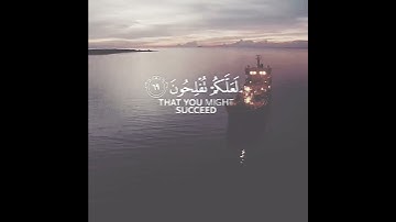 آيات تحث على التأمل والتفكر من القرآن الكريم 🌹 رعد محمد الكردي حالات واتس اب دينية قصيرة مؤثرة