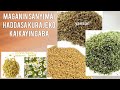 MAGANIN SANYI MAI HADDASA KURAJE KO MAIMAYIN GABA 
