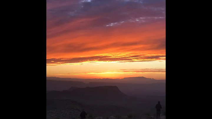 Sign out with the Professor- June '23 Fallopian tube lesions