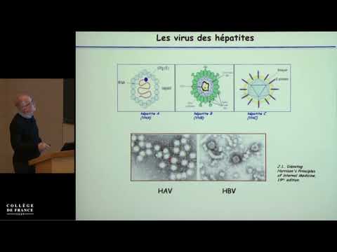 Immunité anti-infectieuse (3) - Alain Fischer (2016-2017)