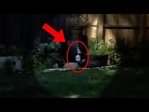 9 Scariest DUENDE Encounters Caught on Tape Chords & Tabs