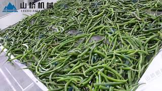 Green peppers drying machine