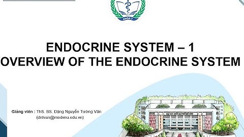 Sinh lý nội tiết 1 - Tổng quan hệ nội tiết