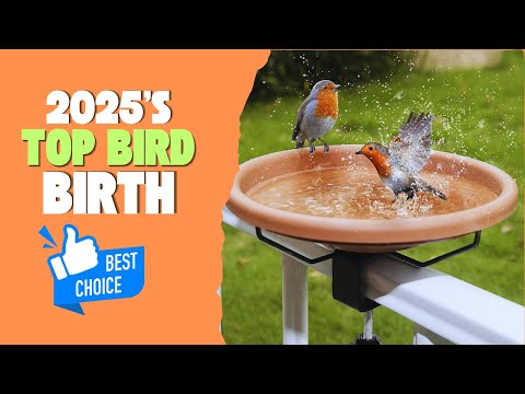 Hobby Lobby Bird Bath