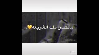 شيلات واهني اللي تصيرين من حظه حلال❤️😊